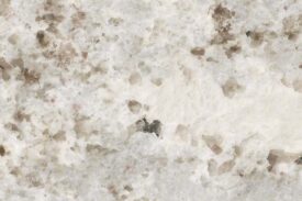 Granite Countertops - Alaska White